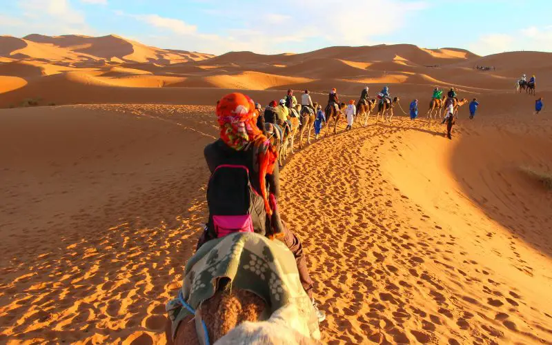 Une balade en chameau au milieu du désert atour de Marrakech