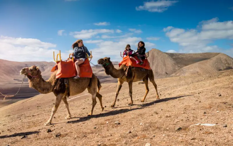 Balade à dos de chameau dans le désert de Marrakech, au mois de septembre