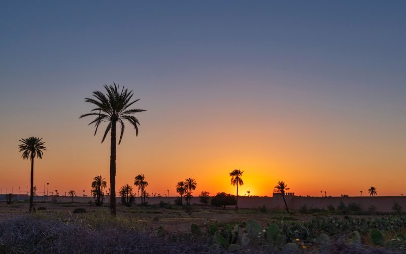 Un coucher de soleil du mois d'août au milieu des palmiers à Marrakech