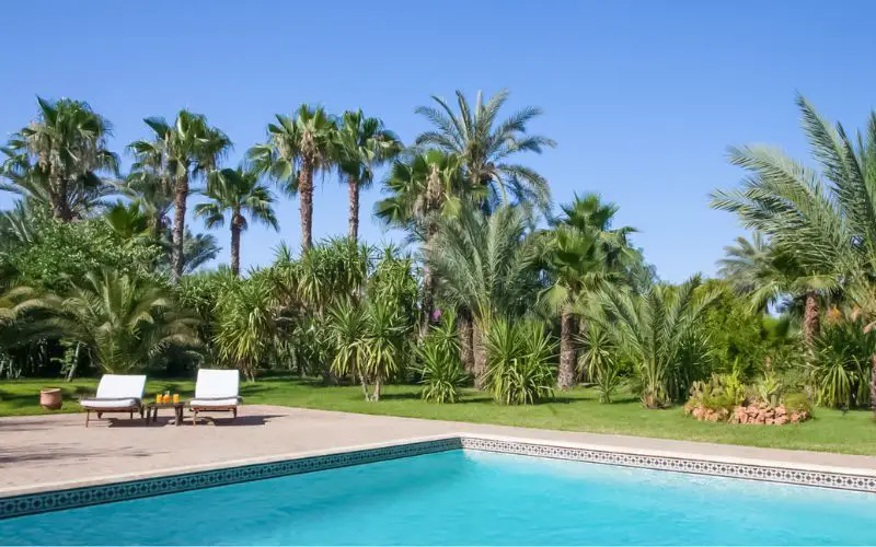 Le jardin de la villa pour un grand mariage à Marrakech