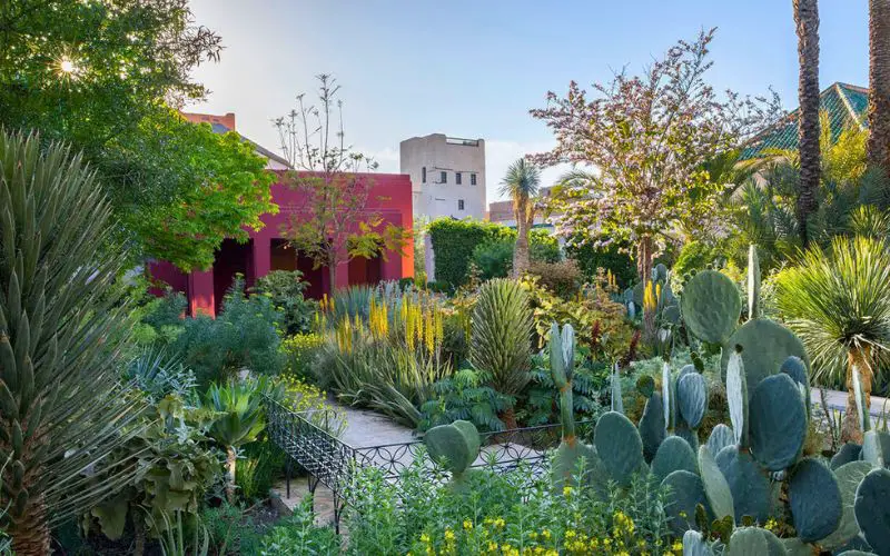 Visite du jardin secret de Marrakech