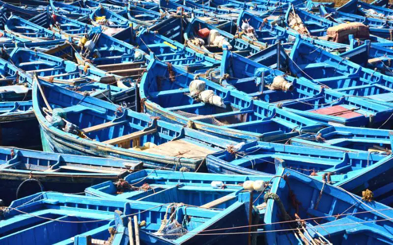 Les bateaux bleus du port d'Essaouira
